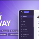 PayMoney v4.3.6 - Secure Online Payment Gateway - nulled