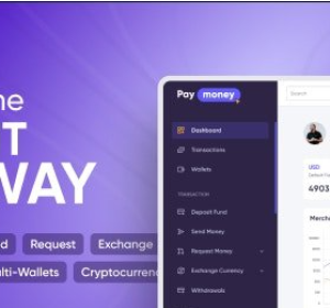 PayMoney v4.3.6 - Secure Online Payment Gateway - nulled