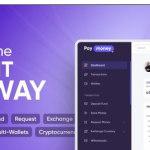 PayMoney v4.3.5 - Secure Online Payment Gateway - nulled