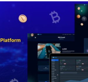 Nishue v5.2 - CryptoCurrency Buy Sell Exchange and Lending with MLM System - nulled