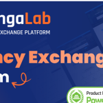 ChangaLab v3.2 - Currency Exchange Platform - nulled