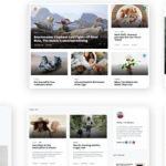 Stories v1.37.3 - Laravel Creative Multilingual Blog - nulled