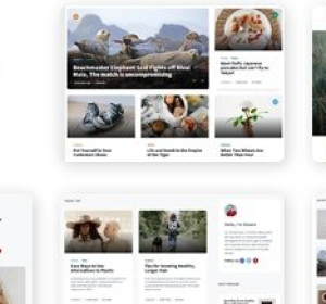 Stories v1.37.3 - Laravel Creative Multilingual Blog - nulled