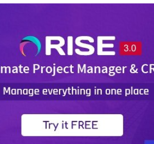 RISE v3.9.5 - Ultimate Project Manager & CRM - nulled