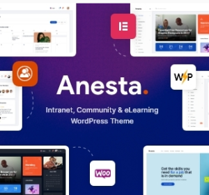 Anesta - Intranet, Extranet, Community and BuddyPress WordPress Theme